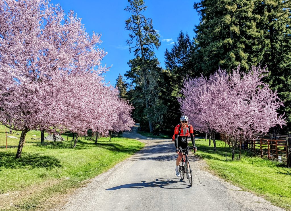 Cyclist riding through countryside in Northern California